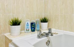 a bathroom sink with two bottles of toothpaste and two plants at Cityview Retreat - 2-Bed Apartment - Free Parking in Glasgow +43 photos