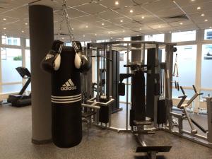 Fitness centrum a/nebo fitness zařízení v ubytování Hotel Rheingold