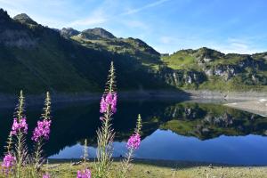 Náttúran í nágrenni íbúðarinnar