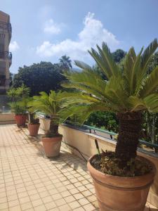 A garden outside Terrazza La Delizia