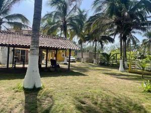 a palm tree in front of a house with palm trees at Villa Playa Encantada in Barra de Tuxpan