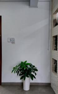 Imagen de la galería de ESTUDIO - Cristo Redentor, en Santa Cruz de la Sierra