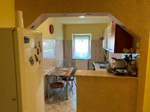 a kitchen with a refrigerator and a table in it at Casy&Angy in Braşov