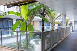een hal met een palmboom in een gebouw bij The Downtown - A Mount Maunganui Apartment in Mount Maunganui