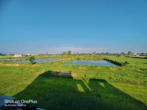 uno stagno in un campo con erba verde di Serene Homestay Retreat a Bāzpur