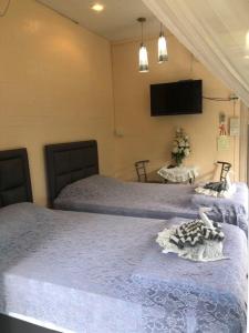 Ένα ή περισσότερα κρεβάτια σε δωμάτιο στο Cool Cat House ครูแคทเฮาส์