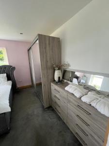 a bedroom with two beds and a large mirror at Unique countryside stay in Dundrod