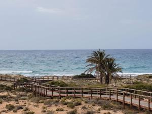 a wooden path to the beach with a palm tree at Galatea Arena in Arenales del Sol