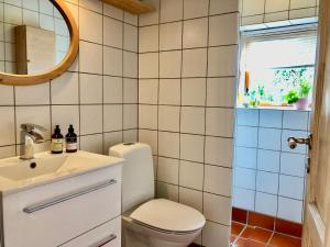 a bathroom with a toilet and a sink and a mirror at Charming sunroom with panorama view in Randers +41 photos