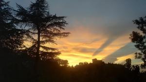 a sunset with a tree in the foreground at Fruit Bowl in Rāmgarh