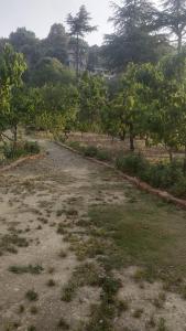 a dirt road in a field with trees at Fruit Bowl in Rāmgarh