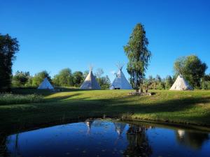 Příroda nedaleko luxury tent