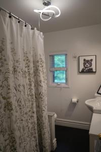a bathroom with a shower curtain and a sink at Mary Lake Sunset Lodge in Port Sydney +39 photos