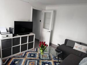 TV a/nebo společenská místnost v ubytování Plaistow comfort stay