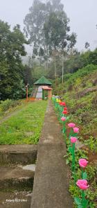 Zahrada ubytování Kodaikanal dinosaur park and resorts, mannavanur