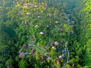 an aerial view of a village in a forest at Bagus Jati Health & Wellbeing Retreat in Tegalalang
