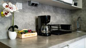 Kuchyňa alebo kuchynka v ubytovaní Wonder Home - Apartamenty w zielonej okolicy, blisko centrum Karpacza