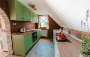 a kitchen with green cabinets and a bowl of apples at Moonlake Chalet in Găineşti