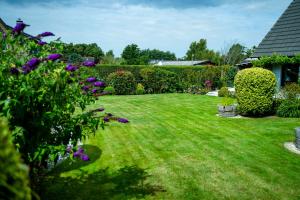 a garden with green grass and purple flowers at Ferienhaus Kogge Behnken in Schönhagen