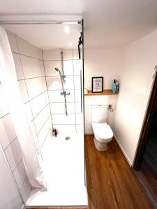 a bathroom with a shower and a toilet at Appartement les Sapineaux in Courchevel +11 photos