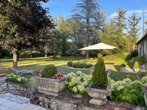 Zahrada ubytování Chambre suite privée à 10km de Chambord et Cheverny