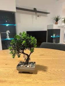 Afbeelding uit fotogalerij van London Residence Deluxe 2-Bedroom in Suceava