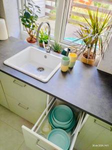 a kitchen counter with a sink and plates and plants at Saltwater Apartment Gdynia in Gdynia +46 photos