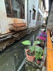 Fotografie z fotogalerie ubytování 云中君客栈 Sunshine guest house v destinaci Li-ťiang
