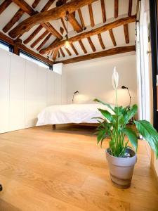 Un dormitorio con una cama y una planta en maceta. en Hanok JADE, en Seúl