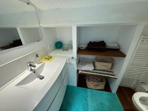 Bilik mandi di Port Hyeres Duplex plein Sud 200 M2 et 100 M2 de terrasse
