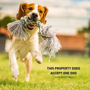 a dog running with a toy in its mouth at Moriston Cottage in Lochcarron +18 photos