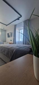 ein Schlafzimmer mit einem Bett und einer Topfpflanze in der Unterkunft Апартаменты на Чехова in Öskemen
