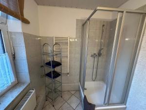 a bathroom with a shower with a glass door at Ferienwohnung Köppe in Lutherstadt Wittenberg +14 photos