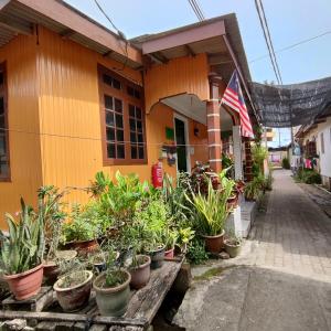 a building with a bunch of potted plants in front of it at Mokdo Guest House in Perhentian Islands +28 photos