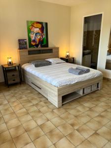 Posteľ alebo postele v izbe v ubytovaní Appartement - les jardins de Cybèle - Gréoux-Les-Bains