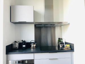 Kuchnia lub aneks kuchenny w obiekcie Maison Gabriel Appartement PLUME