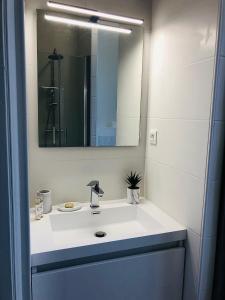 łazienka z białą umywalką i lustrem w obiekcie Maison Gabriel Appartement PLUME w mieście Abbeville