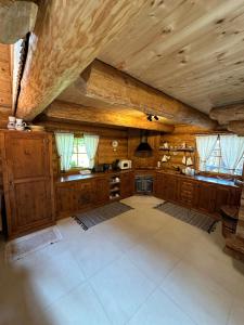 A kitchen or kitchenette at Zrub Liptovec