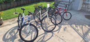 - un groupe de vélos garés l'un à côté de l'autre dans l'établissement Apartment Slobo, à Trebinje