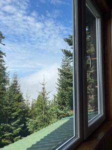 a window with a view of a forest at Panorama Gomismta in Gomi +27 photos