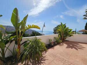 Naturlandskabet i nærheden af feriehuset