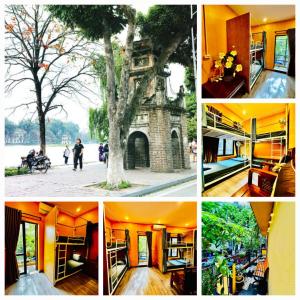 un collage d'images d'un arbre et d'un bâtiment dans l'établissement IL Divo Hostel & Spa 61 Bát Sứ, à Hanoï