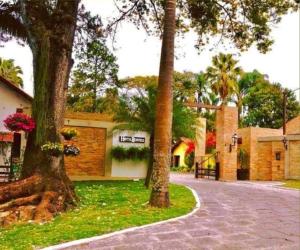 a group of trees in front of a building at Hotel Bertell in Penedo