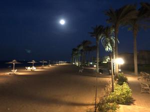 a beach at night with a full moon and palm trees at lavista cozy chalet one bedroom in Ain Sokhna