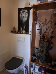 a bathroom with a toilet and a picture of a lion at Chambre avec lit 2 personnes in Ville-en-Sallaz
