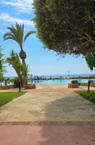 a park with a palm tree and a body of water at CSS Cute Superior King's Palace in Paphos City
