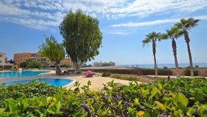a resort with a swimming pool and palm trees at CSS Cute Superior King's Palace in Paphos City