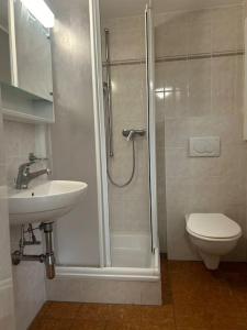 a bathroom with a shower and a sink and a toilet at Davesco Court Apartment in Cadro