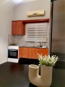 a small kitchen with a sink and a microwave at Ellegant apartment in Politika in Politika