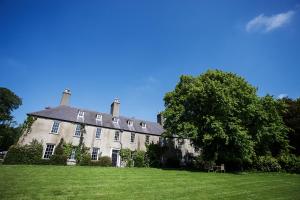 an old house with a tree in front of it at Gardeners Cottage in Llanrhyddlad +10 photos